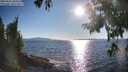 ./images/koeye/fitz-hugh/20250822/fitz-hugh20250822_180511M.jpg