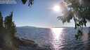 ./images/koeye/fitz-hugh/20250822/fitz-hugh20250822_181010M.jpg
