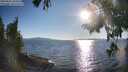 ./images/koeye/fitz-hugh/20250822/fitz-hugh20250822_182514M.jpg