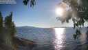 ./images/koeye/fitz-hugh/20250822/fitz-hugh20250822_183012M.jpg
