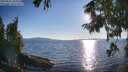 ./images/koeye/fitz-hugh/20250822/fitz-hugh20250822_184011M.jpg
