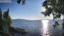 ./images/koeye/fitz-hugh/20250822/fitz-hugh20250822_184510M.jpg