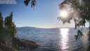 ./images/koeye/fitz-hugh/20250822/fitz-hugh20250822_185010M.jpg