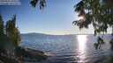./images/koeye/fitz-hugh/20250822/fitz-hugh20250822_185511M.jpg