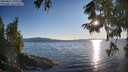 ./images/koeye/fitz-hugh/20250822/fitz-hugh20250822_191009M.jpg