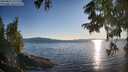./images/koeye/fitz-hugh/20250822/fitz-hugh20250822_191508M.jpg