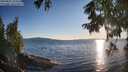 ./images/koeye/fitz-hugh/20250822/fitz-hugh20250822_192511M.jpg