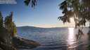 ./images/koeye/fitz-hugh/20250822/fitz-hugh20250822_193009M.jpg