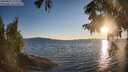 ./images/koeye/fitz-hugh/20250822/fitz-hugh20250822_194509M.jpg