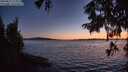 ./images/koeye/fitz-hugh/20250822/fitz-hugh20250822_212009M.jpg