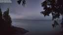 ./images/koeye/fitz-hugh/20250823/fitz-hugh20250823_055010M.jpg