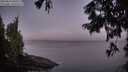 ./images/koeye/fitz-hugh/20250823/fitz-hugh20250823_060510M.jpg