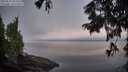 ./images/koeye/fitz-hugh/20250823/fitz-hugh20250823_062514M.jpg
