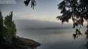 ./images/koeye/fitz-hugh/20250823/fitz-hugh20250823_064510M.jpg