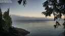 ./images/koeye/fitz-hugh/20250823/fitz-hugh20250823_065011M.jpg