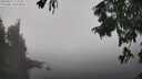 ./images/koeye/fitz-hugh/20250823/fitz-hugh20250823_123012M.jpg