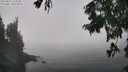./images/koeye/fitz-hugh/20250823/fitz-hugh20250823_124511M.jpg