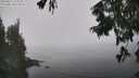 ./images/koeye/fitz-hugh/20250823/fitz-hugh20250823_130011M.jpg