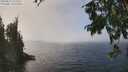 ./images/koeye/fitz-hugh/20250823/fitz-hugh20250823_132009M.jpg
