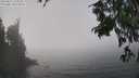 ./images/koeye/fitz-hugh/20250823/fitz-hugh20250823_133012M.jpg