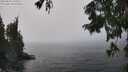 ./images/koeye/fitz-hugh/20250823/fitz-hugh20250823_141510M.jpg