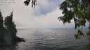 ./images/koeye/fitz-hugh/20250823/fitz-hugh20250823_143012M.jpg