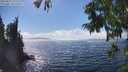 ./images/koeye/fitz-hugh/20250823/fitz-hugh20250823_152009M.jpg