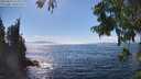 ./images/koeye/fitz-hugh/20250823/fitz-hugh20250823_153011M.jpg