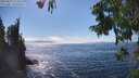 ./images/koeye/fitz-hugh/20250823/fitz-hugh20250823_153509M.jpg