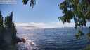 ./images/koeye/fitz-hugh/20250823/fitz-hugh20250823_154011M.jpg