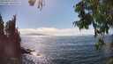 ./images/koeye/fitz-hugh/20250823/fitz-hugh20250823_155009M.jpg