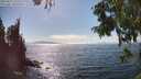 ./images/koeye/fitz-hugh/20250823/fitz-hugh20250823_155510M.jpg