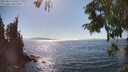 ./images/koeye/fitz-hugh/20250823/fitz-hugh20250823_160511M.jpg