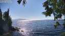 ./images/koeye/fitz-hugh/20250823/fitz-hugh20250823_161510M.jpg