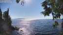 ./images/koeye/fitz-hugh/20250823/fitz-hugh20250823_162512M.jpg