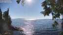 ./images/koeye/fitz-hugh/20250823/fitz-hugh20250823_164511M.jpg
