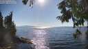 ./images/koeye/fitz-hugh/20250823/fitz-hugh20250823_165011M.jpg