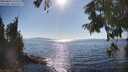 ./images/koeye/fitz-hugh/20250823/fitz-hugh20250823_165510M.jpg