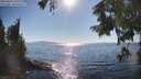 ./images/koeye/fitz-hugh/20250823/fitz-hugh20250823_170011M.jpg