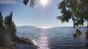 ./images/koeye/fitz-hugh/20250823/fitz-hugh20250823_170510M.jpg