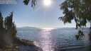./images/koeye/fitz-hugh/20250823/fitz-hugh20250823_171511M.jpg