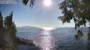 ./images/koeye/fitz-hugh/20250823/fitz-hugh20250823_172011M.jpg