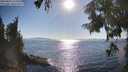./images/koeye/fitz-hugh/20250823/fitz-hugh20250823_172514M.jpg