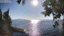 ./images/koeye/fitz-hugh/20250823/fitz-hugh20250823_173012M.jpg