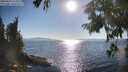 ./images/koeye/fitz-hugh/20250823/fitz-hugh20250823_173511M.jpg