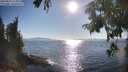 ./images/koeye/fitz-hugh/20250823/fitz-hugh20250823_174009M.jpg