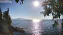 ./images/koeye/fitz-hugh/20250823/fitz-hugh20250823_174512M.jpg