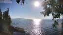 ./images/koeye/fitz-hugh/20250823/fitz-hugh20250823_175009M.jpg