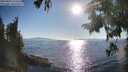 ./images/koeye/fitz-hugh/20250823/fitz-hugh20250823_175510M.jpg