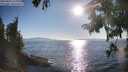 ./images/koeye/fitz-hugh/20250823/fitz-hugh20250823_180013M.jpg